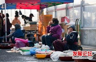 韩国集市,传统与现代交融的市井生活画卷