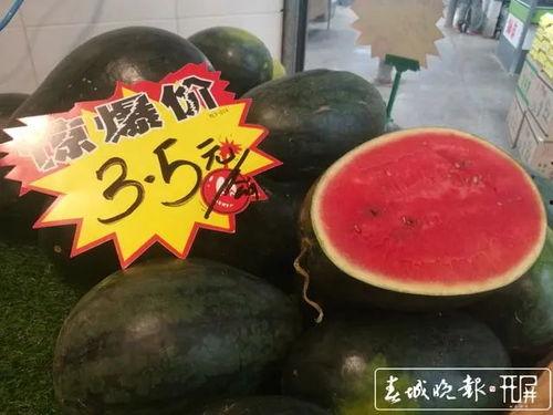 九一黑料吃瓜官方下载