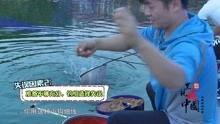 黑坑视频,揭秘水下世界精彩瞬间