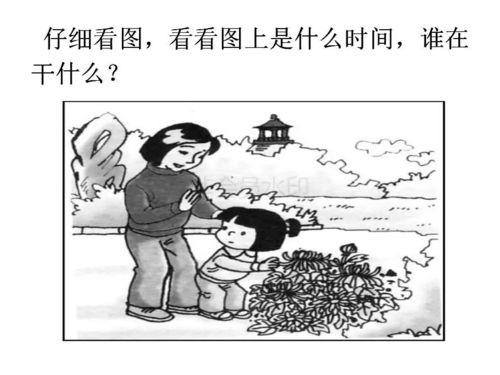 一年级看图写话图片
