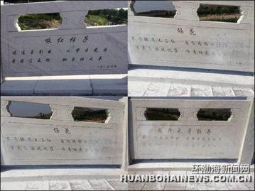 错字图片大全,揭秘日常生活中的文字笑料