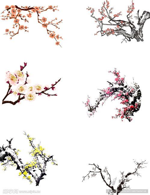 梅花彩铅画图片大全,绽放冬季的优雅与坚韧