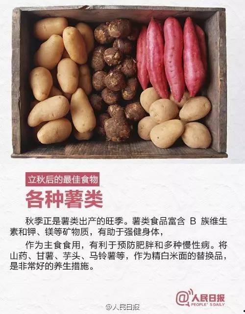 瓜沥今日,探寻江南水乡的繁华与宁静
