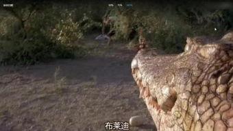鳄鱼电影床戏,激情与危险的激情碰撞