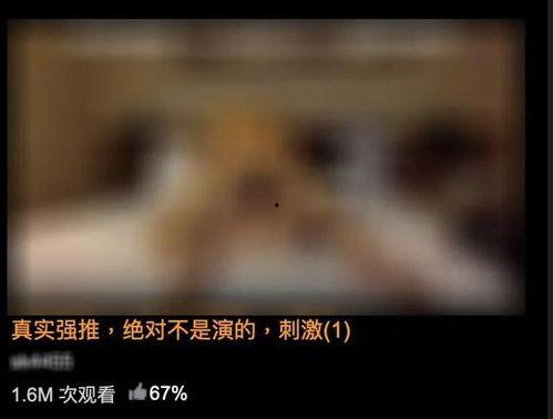 黄色片段视频,探寻背后真相与警示