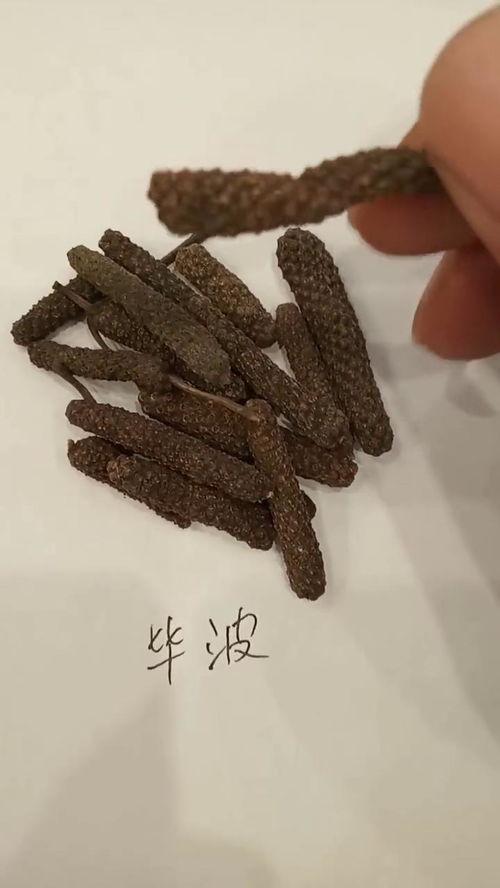 荜拨图片,神秘香料背后的历史与魅力