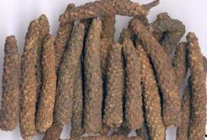 荜拨图片,神秘香料背后的历史与魅力