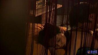 袁姗姗被删床戏,娱乐圈风波背后的真相揭秘