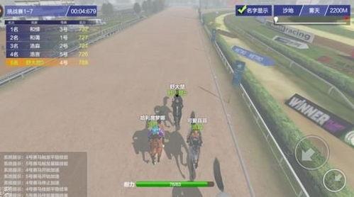 跑马视频