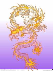 中国龙图片大全,中国龙图片大全赏析