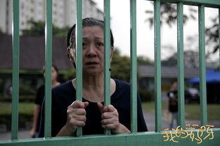 我的妈呀电影在线观看,一场惊心动魄的亲情冒险之旅