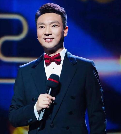 央视男主持人大全图片,魅力与专业并存
