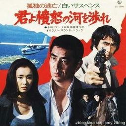 日本追捕电视剧,跨国追凶，正义终将抵达