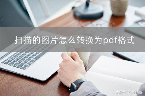 扫描的图片,扫描图片揭示的神秘世界一瞥