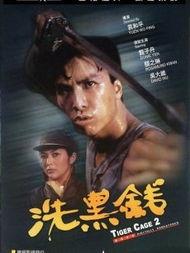 洗黑钱国语电影,暗流涌动的金融阴谋