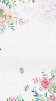 女背景图片,探寻女性背景下的艺术魅力