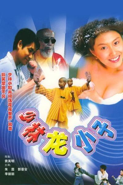 少林龙小子国语,传承武魂，少年英雄的成长传奇