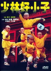 少林龙小子国语,传承武魂，少年英雄的成长传奇
