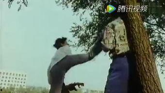 少林龙小子国语,传承武魂，少年英雄的成长传奇