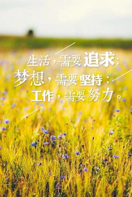 早安心语配图片大全,早安心语与温馨图片的完美融合