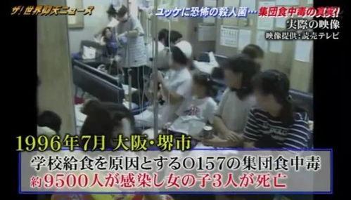 日本制造视频,精湛工艺与品质追求的背后