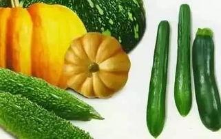 吃瓜专用全黑,揭秘娱乐圈那些不为人知的秘密