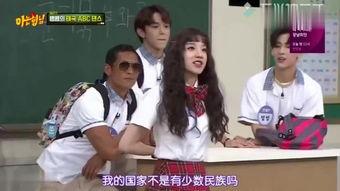 韩国综艺里的中国,文化交融的精彩瞬间