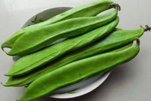 大刀豆图片,绿色田园中的绿色瑰宝