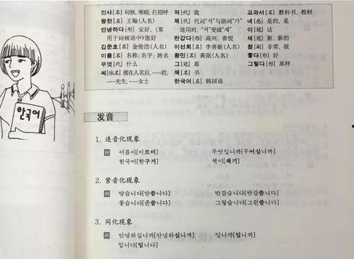 怎么学好韩国语,高效学习指南与策略