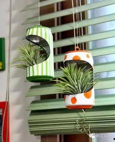 易拉罐做花盆图片大全,易拉罐变废为宝，打造独特花盆风采