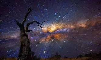 夜空彩绘最新吃瓜爆料,娱乐圈最新吃瓜爆料大起底