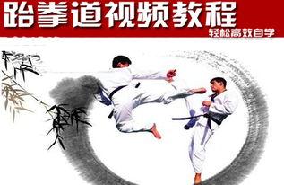 跆拳道教程视频,掌握实战技巧与礼仪规范