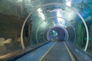 海底隧道图片,海底隧道全景揭秘