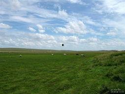 草原图片大全,自然画卷尽收眼底