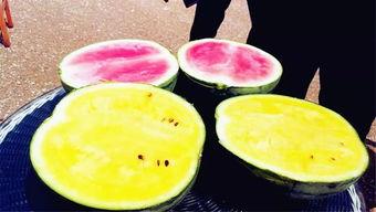 吃瓜黑瓜爆料,吃瓜黑瓜爆料，明星幕后真相大曝光