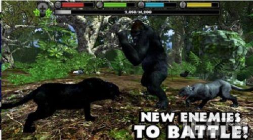 猎物国语,一场惊心动魄的生存游戏